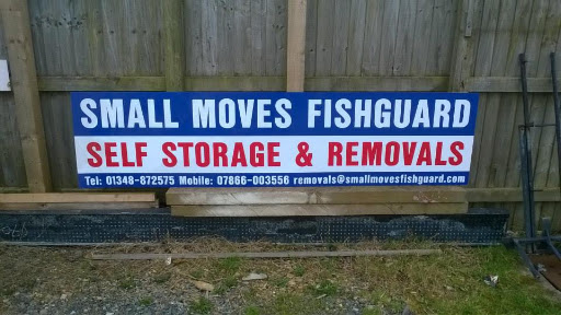 Small Moves - Visual