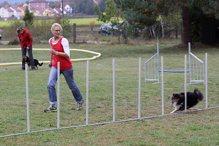 Therapiehunde Deutschland e. V. Gößweinstraße 6, 92318 Neumarkt in der Oberpfalz, Deutschland