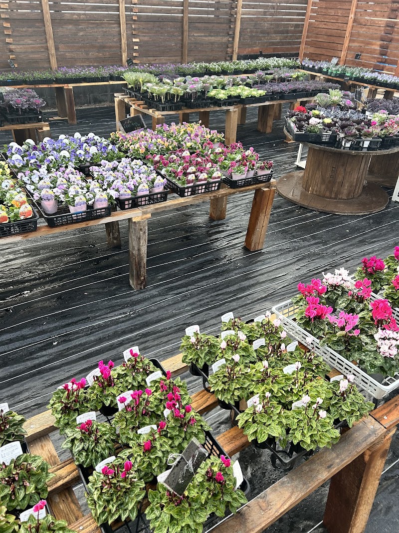 穂ノ花 株式会社