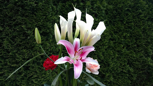 Rosanti Flowers - Thumbnail
