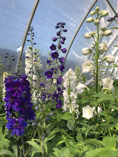 Central Landscape Supply Inc - Thumbnail