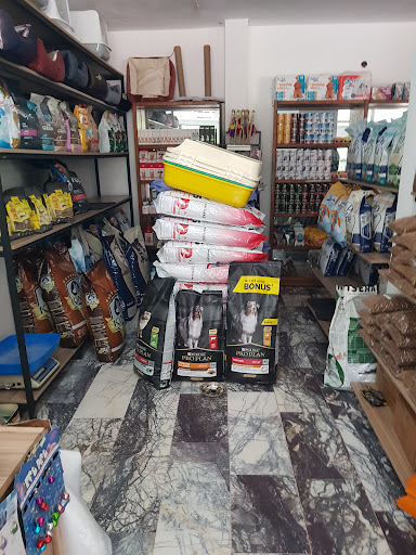 Pion Pet Shop