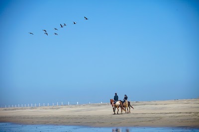 San Diego Beach Rides, Horse Rentals & Wagon Rides