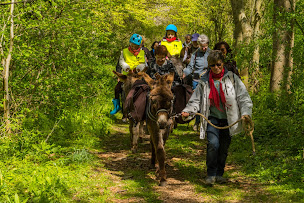 Photo n°22 de Escap'Ânes en Baie de Somme : Sorties Nature (Phoques/Oiseaux, Traversée)/Rando'Ânes/Location d'Ânes/Scolaires/Évènementiels à Boismont (Agence de tourisme sportif)