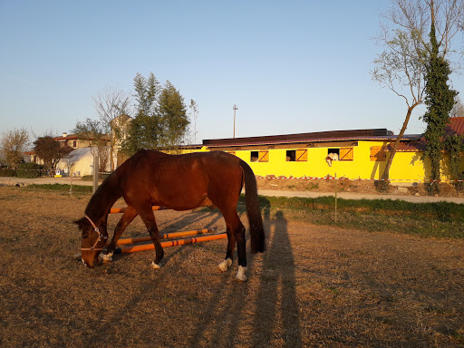 Centro Equestre Leoncavallo - Thumbnail
