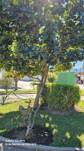 Recreativo "San Felipe 1" Park - Thumbnail