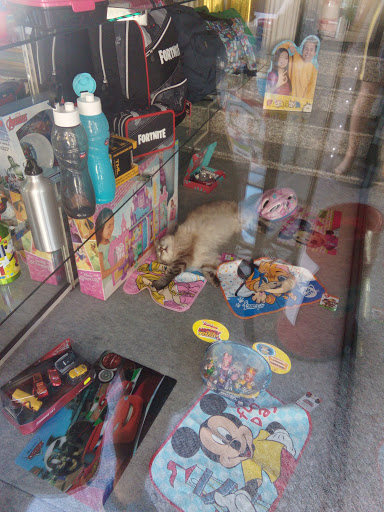 Cartolibreria Fumarola - Thumbnail