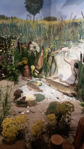 natuurmuseum Rheezer-marke - Thumbnail