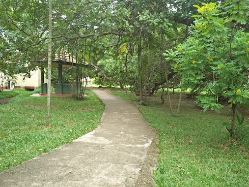 Wayamba University of Sri Lanka Makandura Premises, Author: Sasith Nuwantha