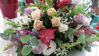 Photos of Fiori e Tulli &Alpha;&nu;&theta;&omicron;&pi;&omega;&lambda;&epsilon;ί&omicron; &Theta;&epsilon;&sigma;&sigma;&alpha;&lambda;&omicron;&nu;ί&kappa;&eta;