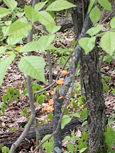 Boulder Park - Thumbnail