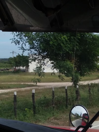 Photos of Lecher&iacute;a San Antonio, Grupo Rica
