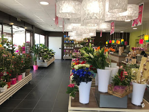 Photo n°21 de Carrément Fleurs - Fleuriste Montauban Nord 82 - Livraison de fleurs à domicile à Montauban (Fleuriste)