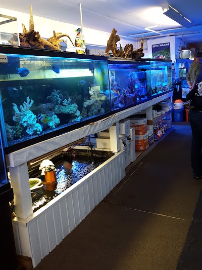 Aquarium World