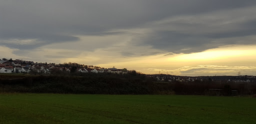 Besigheim Elserring