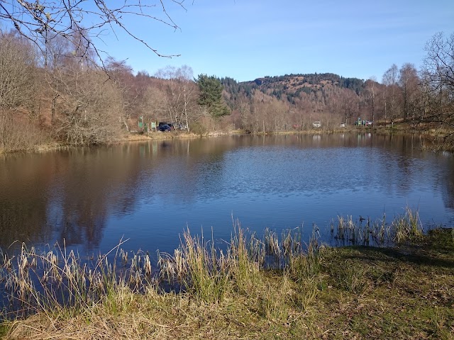 Go Ape Aberfoyle