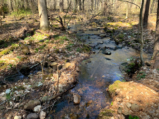 Malcolm Preserve - Visual