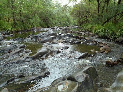 Photos of Riverwood Downs