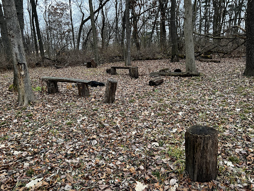 Sherman R Cook Memorial Scout Park (Cook Woods)