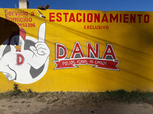 POLLO ASADO AL CARBON "DANA" - Thumbnail