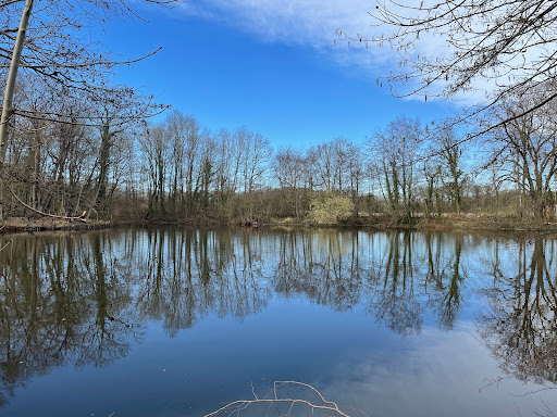 Départemental des Hautois Woods - Thumbnail