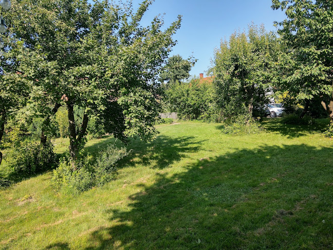 Bogaczewo, 11-500 Giżycko