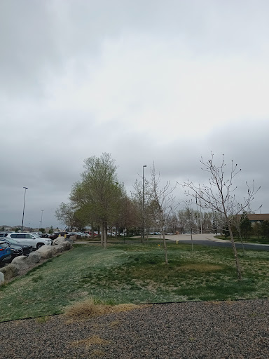 Adams County District Judges - Thumbnail
