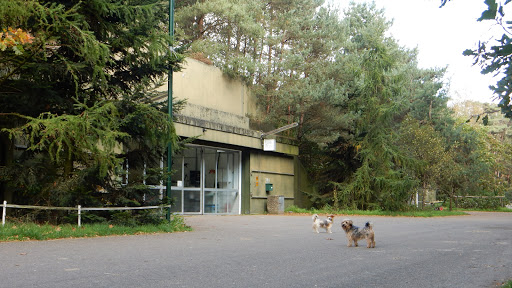 Dr.med.vet. Dirk Jan Riemersma veterinarian - Thumbnail