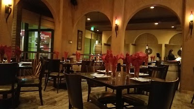 Photos of Agave