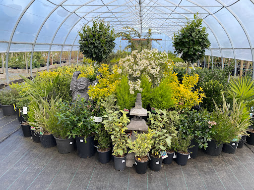 Paradise Plants Garden Centre - Thumbnail