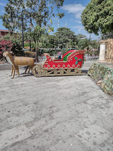Centro Tehuantepec Garden