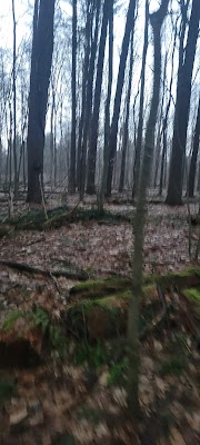Schroeppel - Image 3