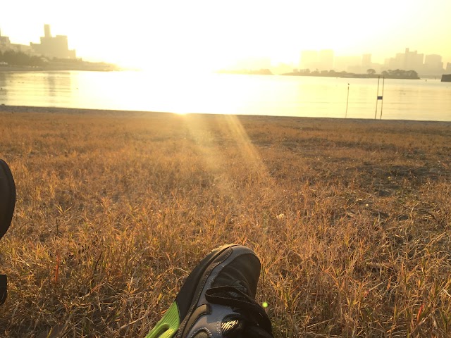 Odaiba Beach