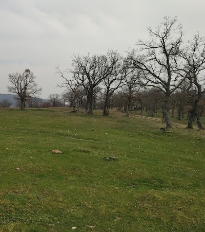 Kurudere Kamp Ve Piknik Alanı