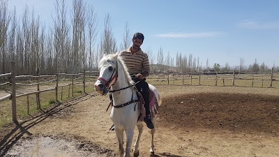 Photos of پیست سوارکاری صباحی.بمدیریت خلیل صباحی