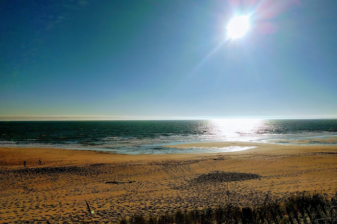 Visit Plage De La Terriere On Your Trip To La Tranche Sur Mer