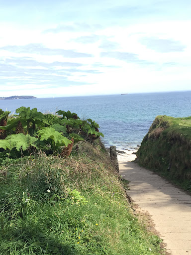 Bream Cove - Visual