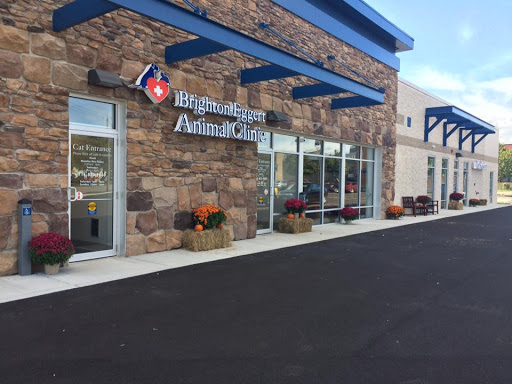 Brighton Eggert Animal Clinic and Pet Resort - United States
