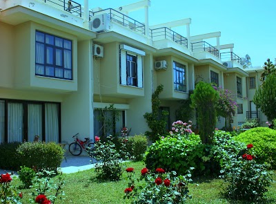 Photos of Dream Of Holiday