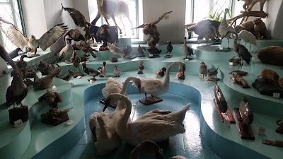 Photos of Karakol Historical Museum