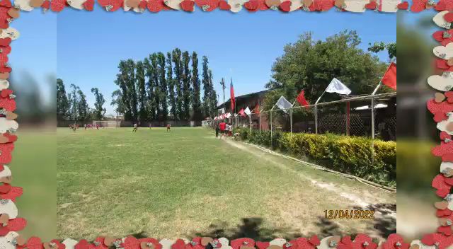Opiniones de Centro Cultural y Deportivo Rosa del Sur en San Bernardo - Gimnasio