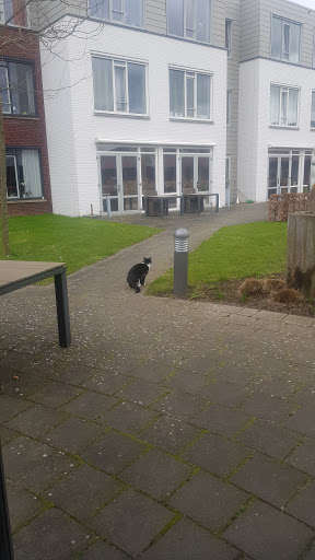 Den Bouw Zorgwooncentrum - Thumbnail