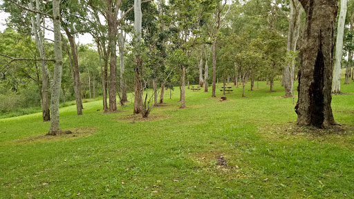 Millstream Reserve - Visual