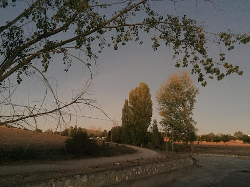 Balsón de las Ranas - Thumbnail