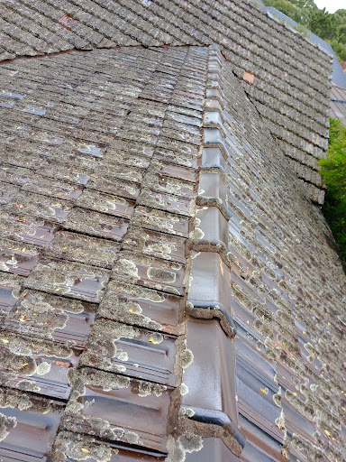 roof man Gallery - Australia