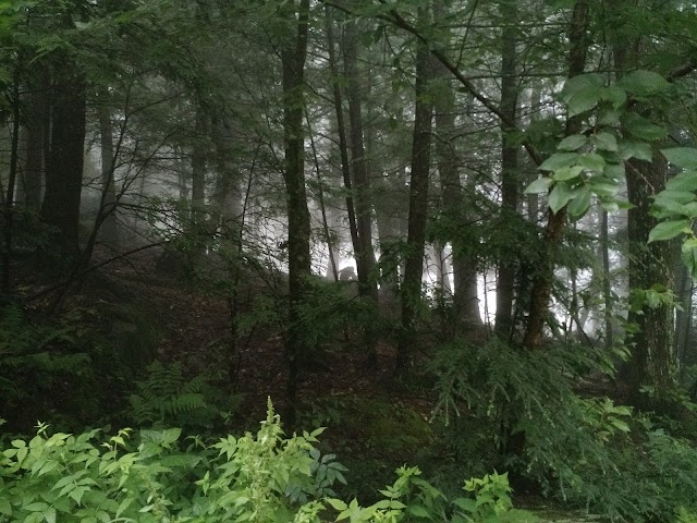 Overlook Mountain Trailhead