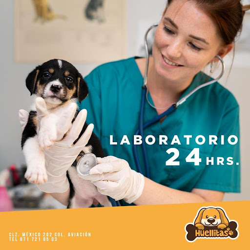 Huellitas centro veterinario