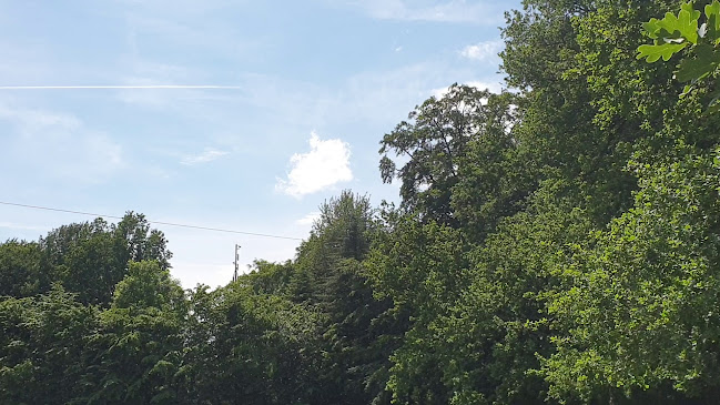 Kommentare und Rezensionen über Waldkletterpark Velbert-Langenberg