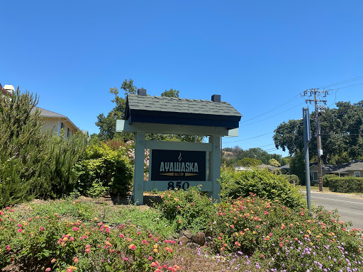 Ayawaska Hilltop Novato - Thumbnail