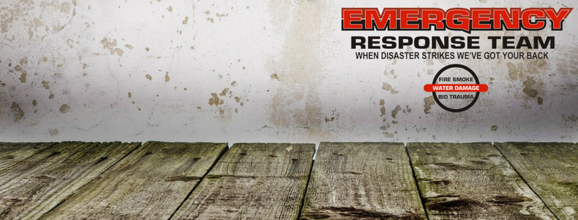 Emergency Response Team Corp photo